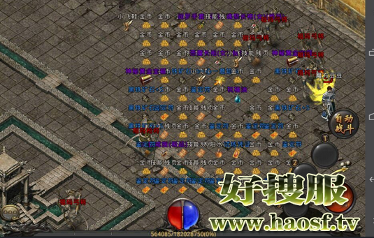 金币在很多时候都能起到不小的作用